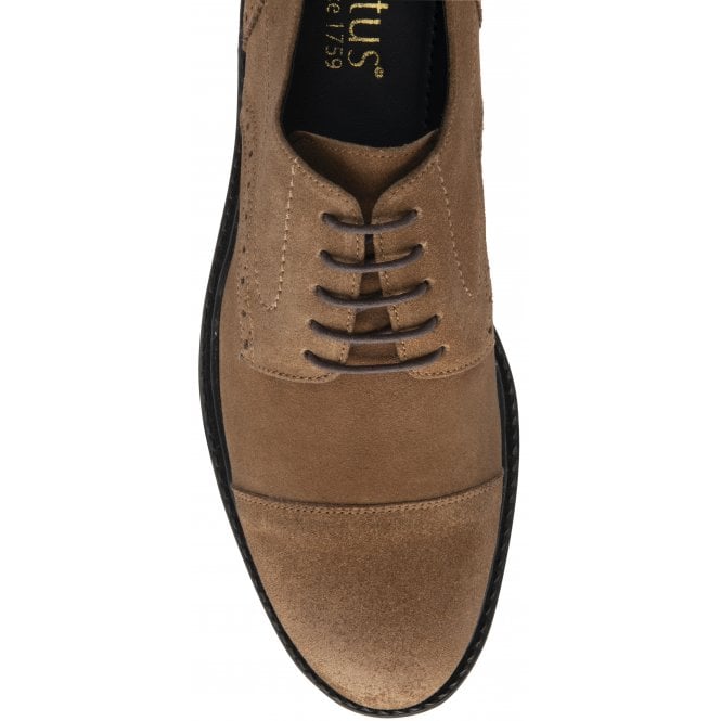 Tan Suede Lexton Lace-Up Shoes | Lotus