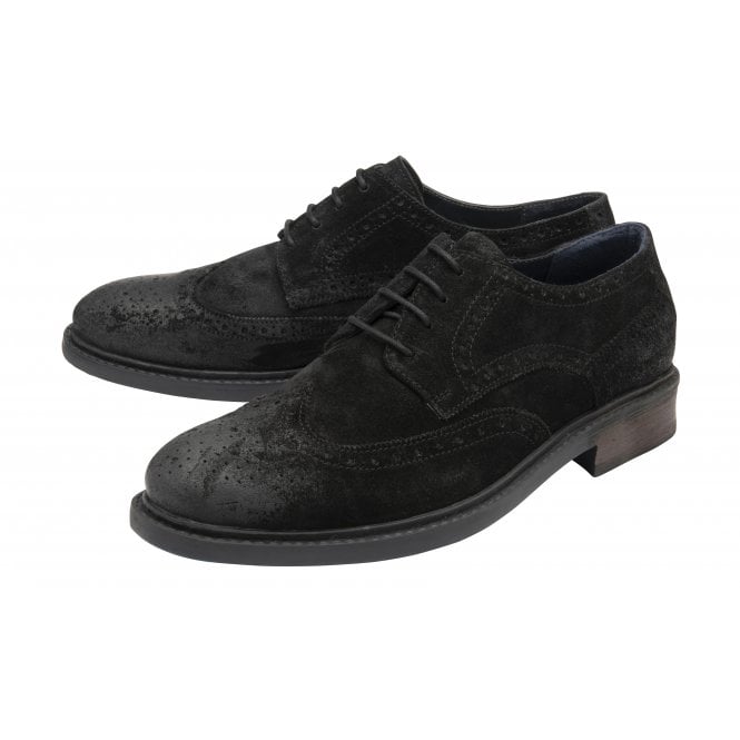 Black Suede Dunford Lace-Up Brogues | Lotus 