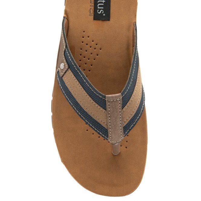  Blue & Tobacco Ian Toe-Post Sandals | Lotus 