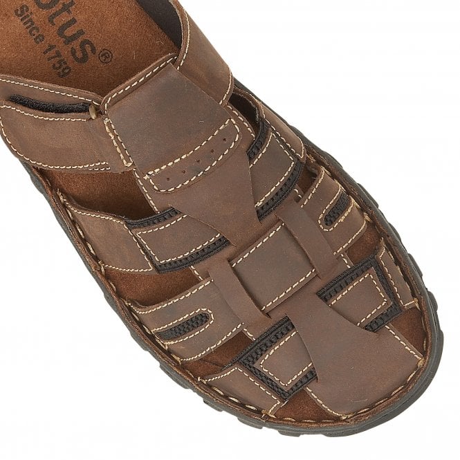  Brown Doran Mule Sandals | Lotus 