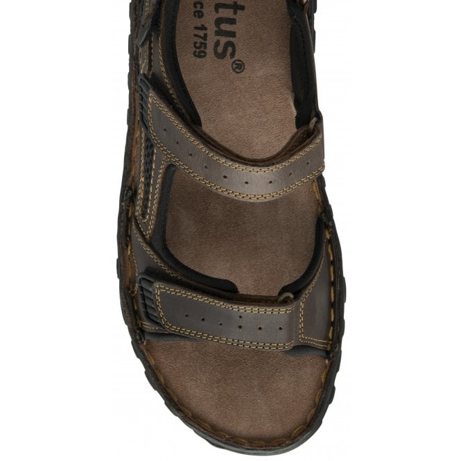  Brown Leather Noah Strap Sandals | Lotus 