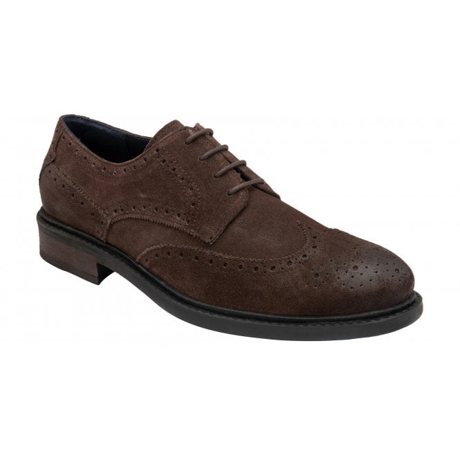  Brown Suede Dunford Lace-Up Brogues | Lotus 