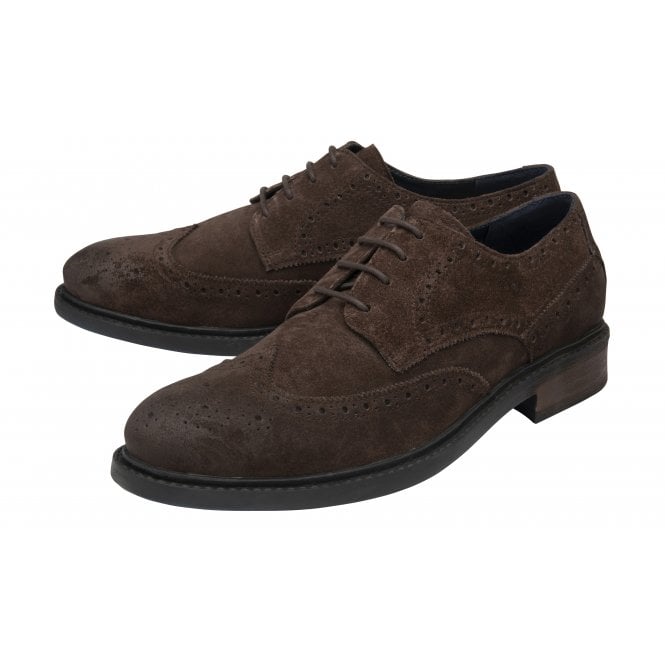  Brown Suede Dunford Lace-Up Brogues | Lotus 