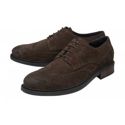  Brown Suede Dunford Lace-Up Brogues | Lotus 