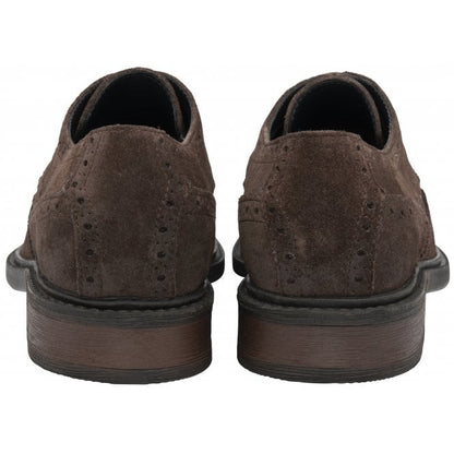  Brown Suede Dunford Lace-Up Brogues | Lotus 