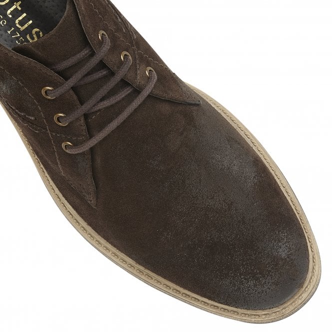  Brown Suede Owen Lace-Up Boots | Lotus