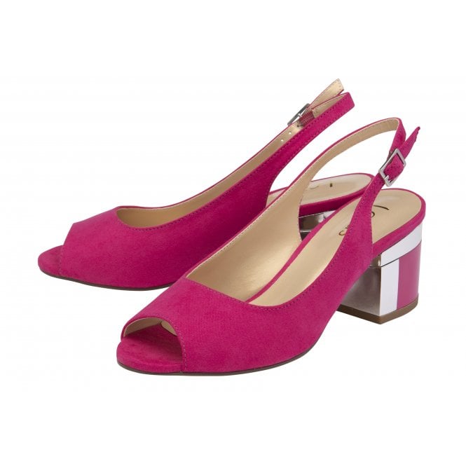  Fuchsia Microfibre Evelyn Slingback Shoes | Lotus