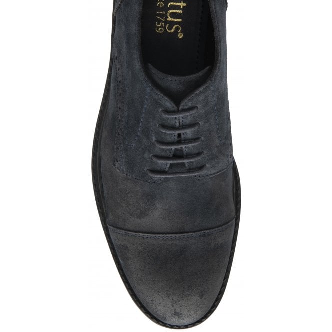  Navy Suede Lexton Lace-Up Shoes | Lotus
