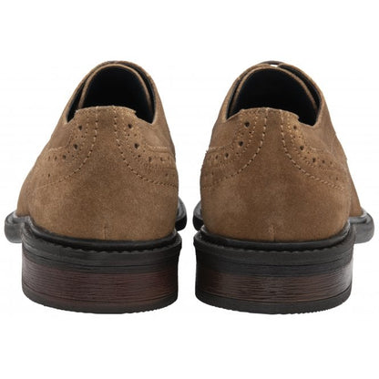  Tan Suede Lexton Lace-Up Shoes | Lotus